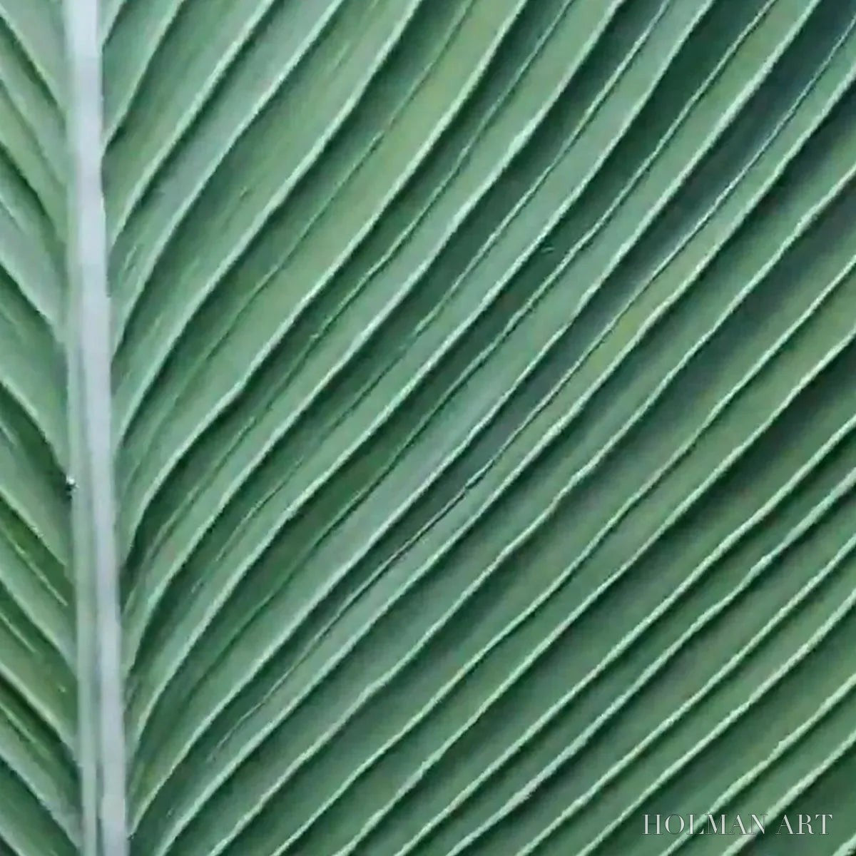 HOLMAN ART Tropical Serenity – Minimalist Botanical Painting, Green Leaf , Vertical Canvas - image 6